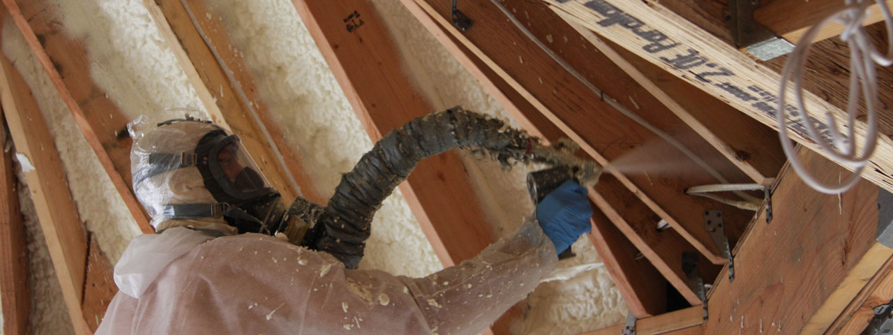 Chesapeake Maryland Attic Insulation Spray Foam